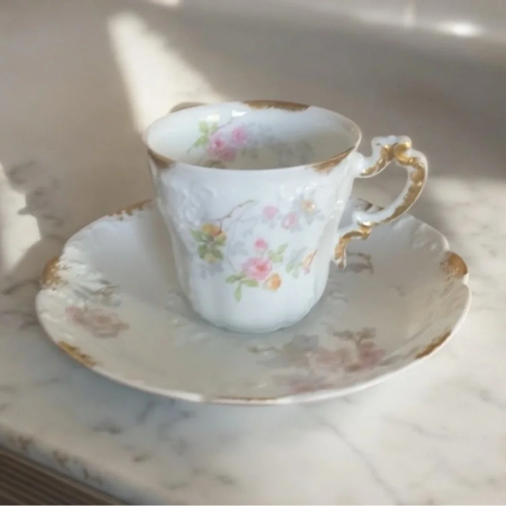 2pc Limoges Floral Teacup and Saucer Set with Gold‎ Accents
